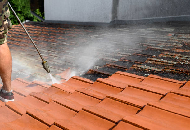 Best Exterior Home Cleaning  in Westville, NJ