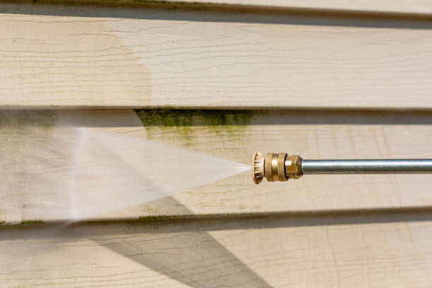 Best Pressure Washing Company Near Me  in Westville, NJ